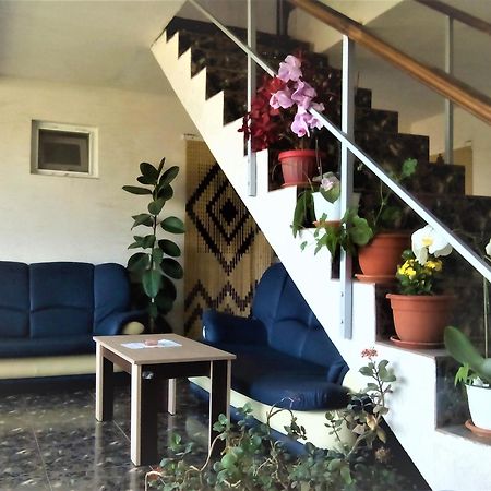 Vila Nico كوستِنيست المظهر الخارجي الصورة