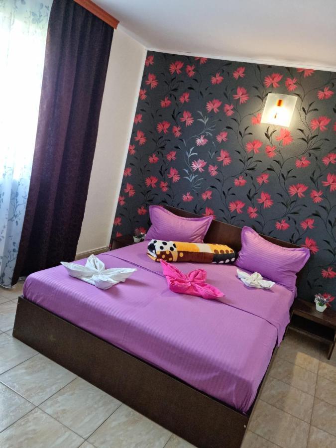 Vila Nico كوستِنيست المظهر الخارجي الصورة